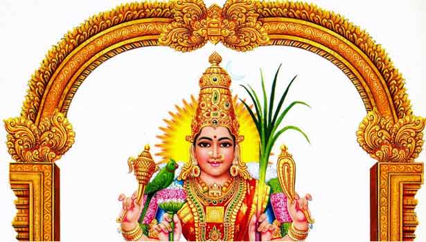 Kanchipuram Temple Tour photo 3