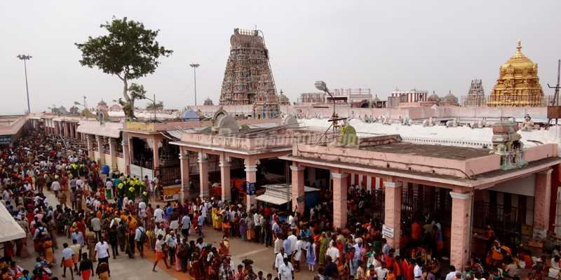 Chennai to Palani Tempo Traveller Rental