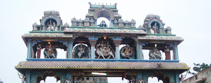 Chennai to Thirukadaiyur Car Rental | Book Your Trip Today
