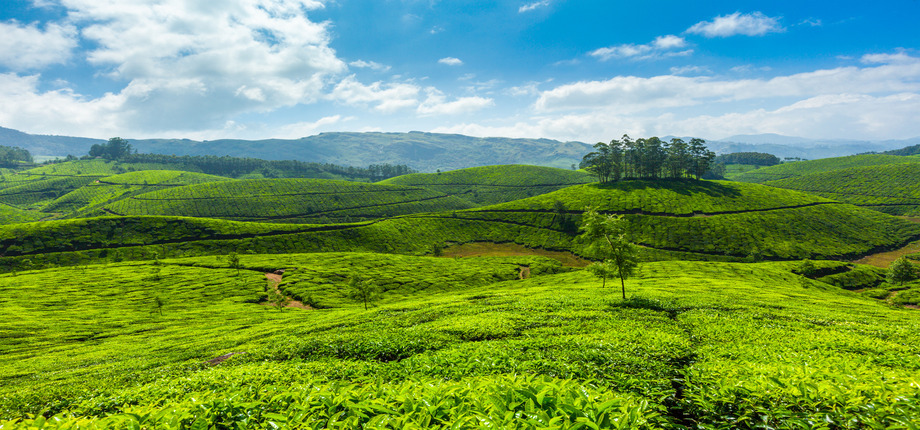 Chennai to Wayanad Tempo Traveller - Van Rental Chennai