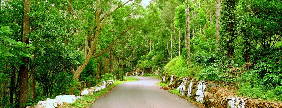 Chennai to Yercaud Tempo Traveller Rental - VanRentalChennai.in