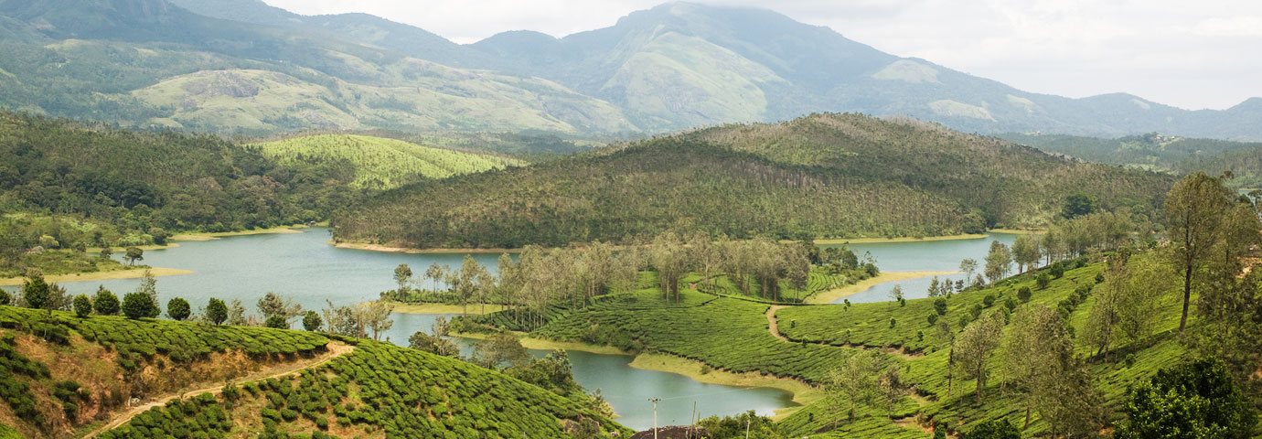 Chennai to Yelagiri Tempo Traveller Booking